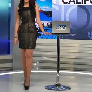 Beautiful fitted brown and black dress